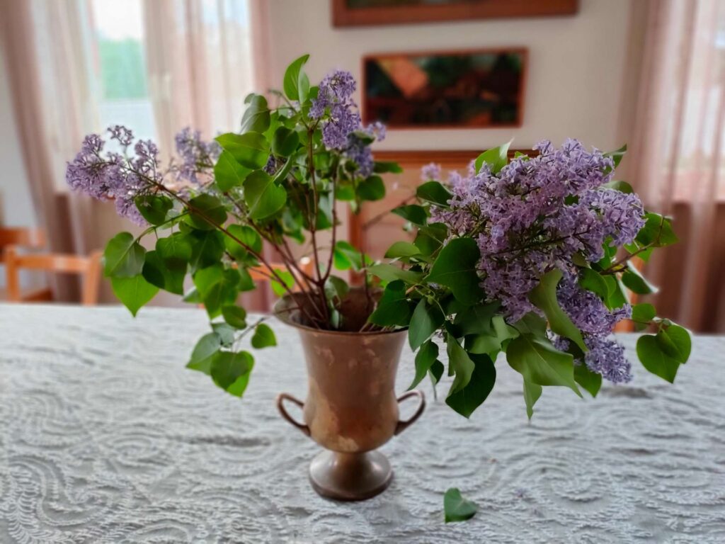 Agroturystyka w dworku w stylu myśliwskim, klimatyczny pensjonat.