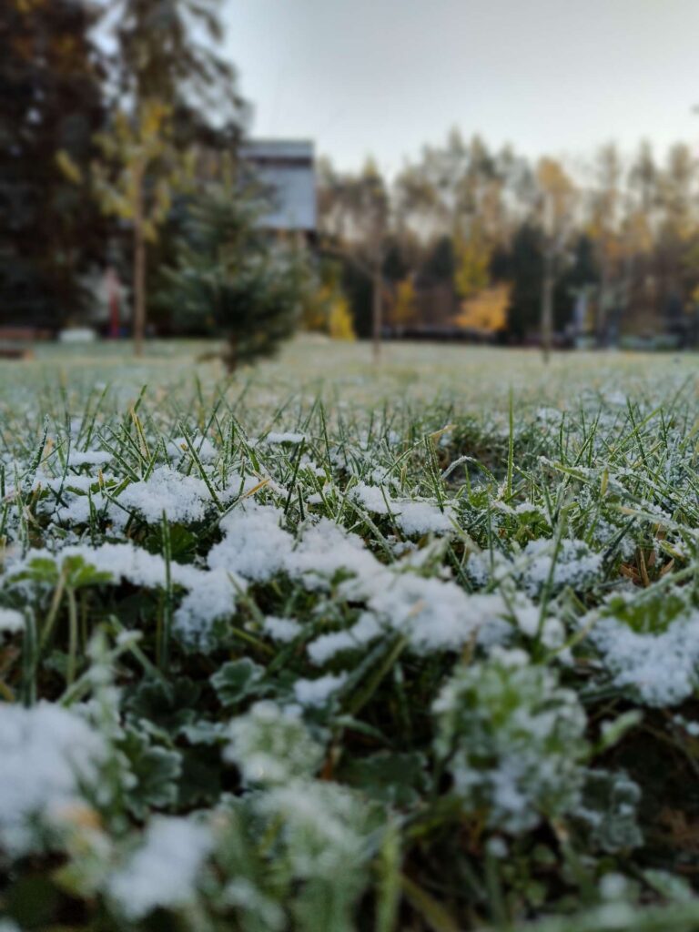Zima w pensjonacie, wiejska idylla, odpoczynek zimą.