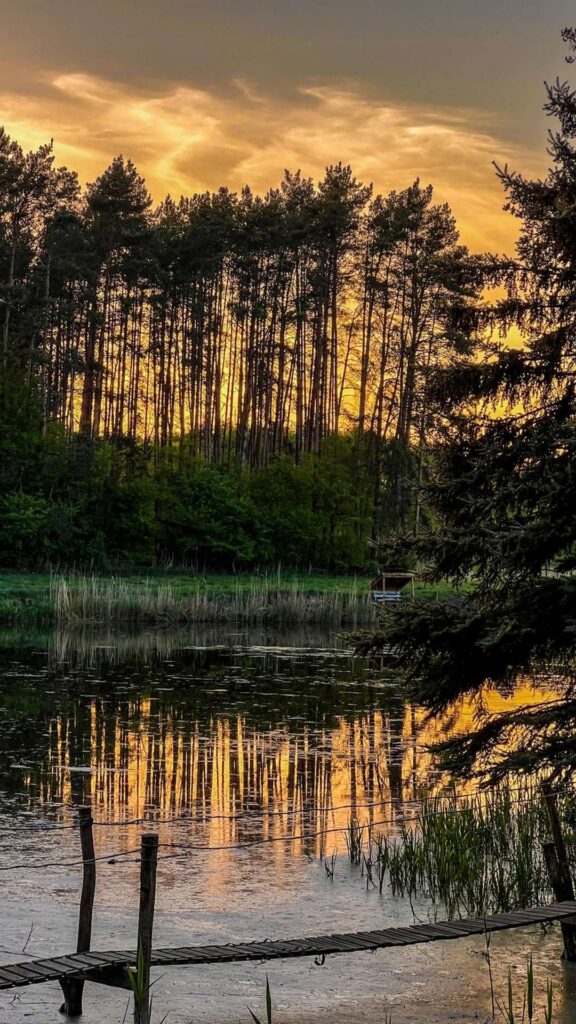 Cisza i spokój. Aktywny wypoczynek i noclegi na wsi w otoczeniu lasów i jezior. Rodzinne chwile. Wakacje.