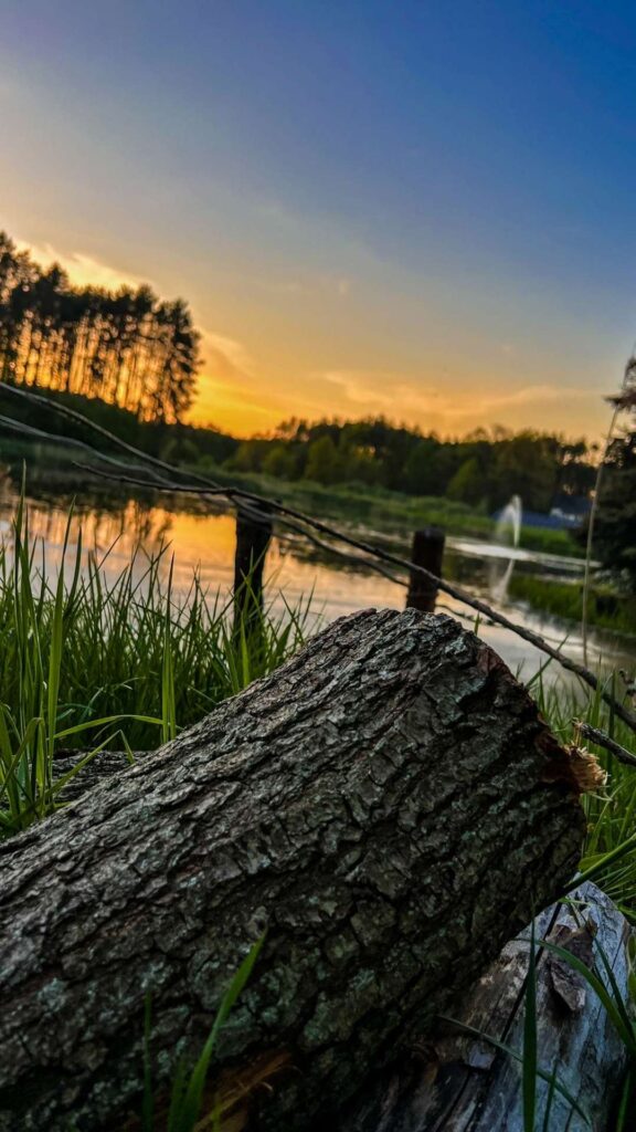 Blisko natury, eko, ekologiczne życie, wakacje w agroturystyce, cisza i spokój, ucieczka z miasta, relaks w naturze, noclegi na wsi.