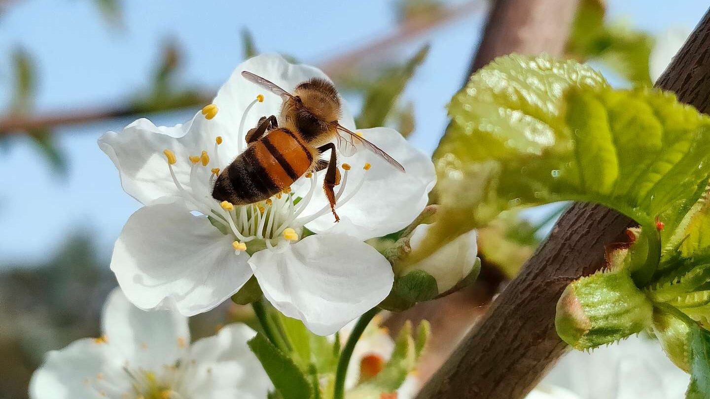 Wiejska idylla, wypoczynek na wsi w gospodarstwie agroturystycznym.

