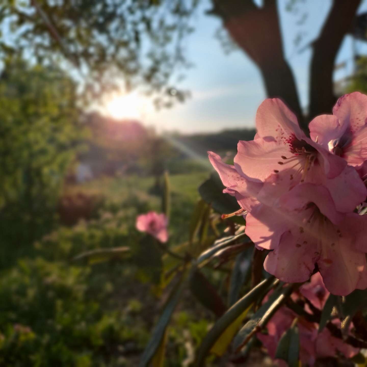 Wiejska idylla, wypoczynek na wsi w gospodarstwie agroturystycznym.